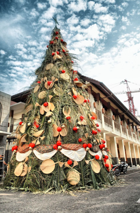 batnhuatrangtrithanhhai