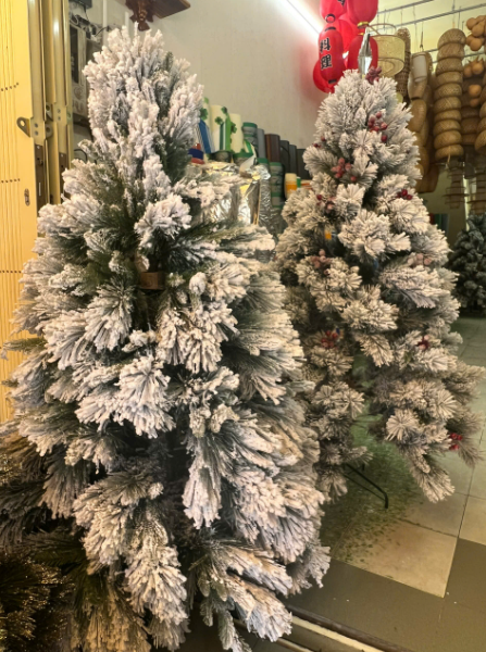 batnhuatrangtrithanhhai