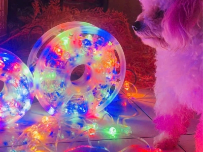 Đèn rèm LED trang trí hình ngôi sao