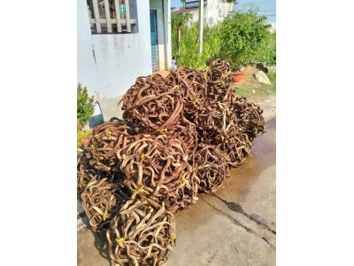 z7177227338896_afe766811e143aba9d0c5dc5f1d2f221