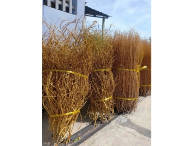 z7177227339606_239d0df4a6a663bbfda8529003dc8f0b