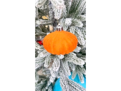 z7204601948343_038bf3d0a3007f9703003a6438d4ce73