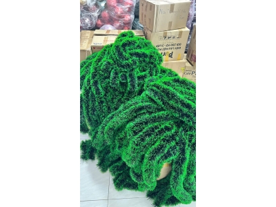 z7204602454458_74e4dd3295089cb5cefa66fd3690a441