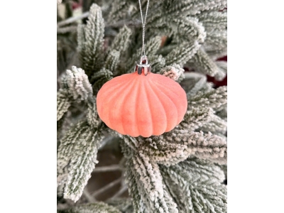 z7211116792300_c29ae4092291d5f297b2a9b39c0d20aa